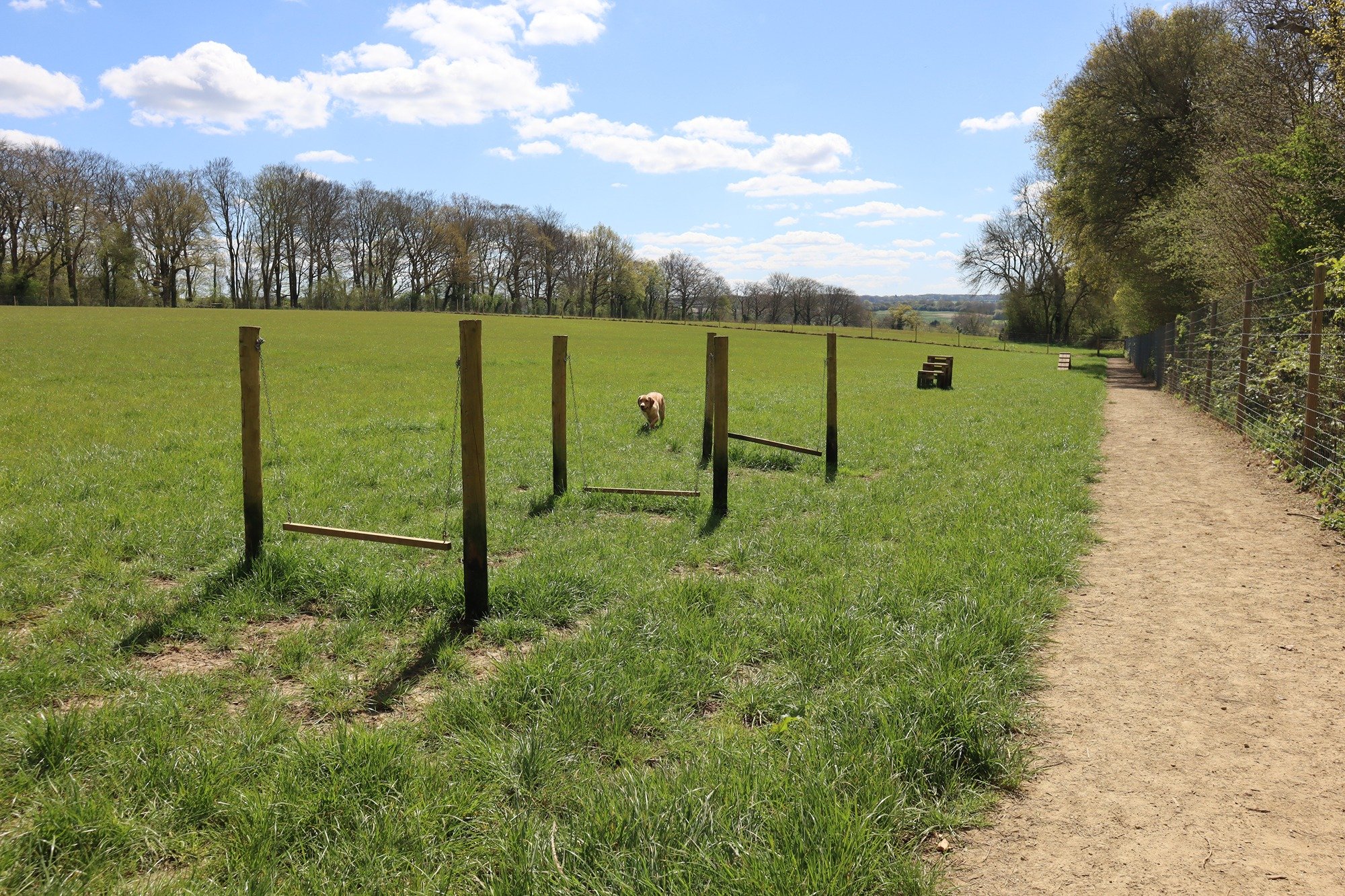 The Paw Paddock Wish List