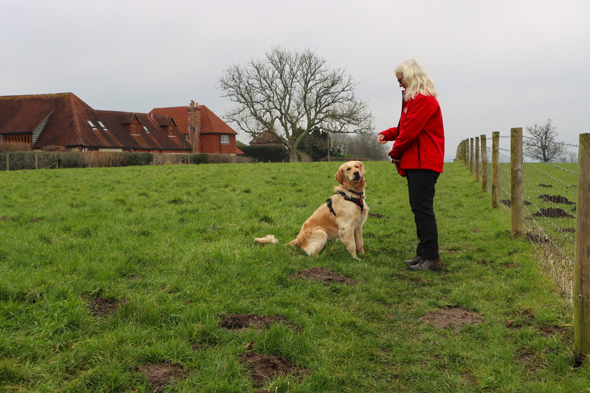 The 100 Mile March for Hounds for Heroes!