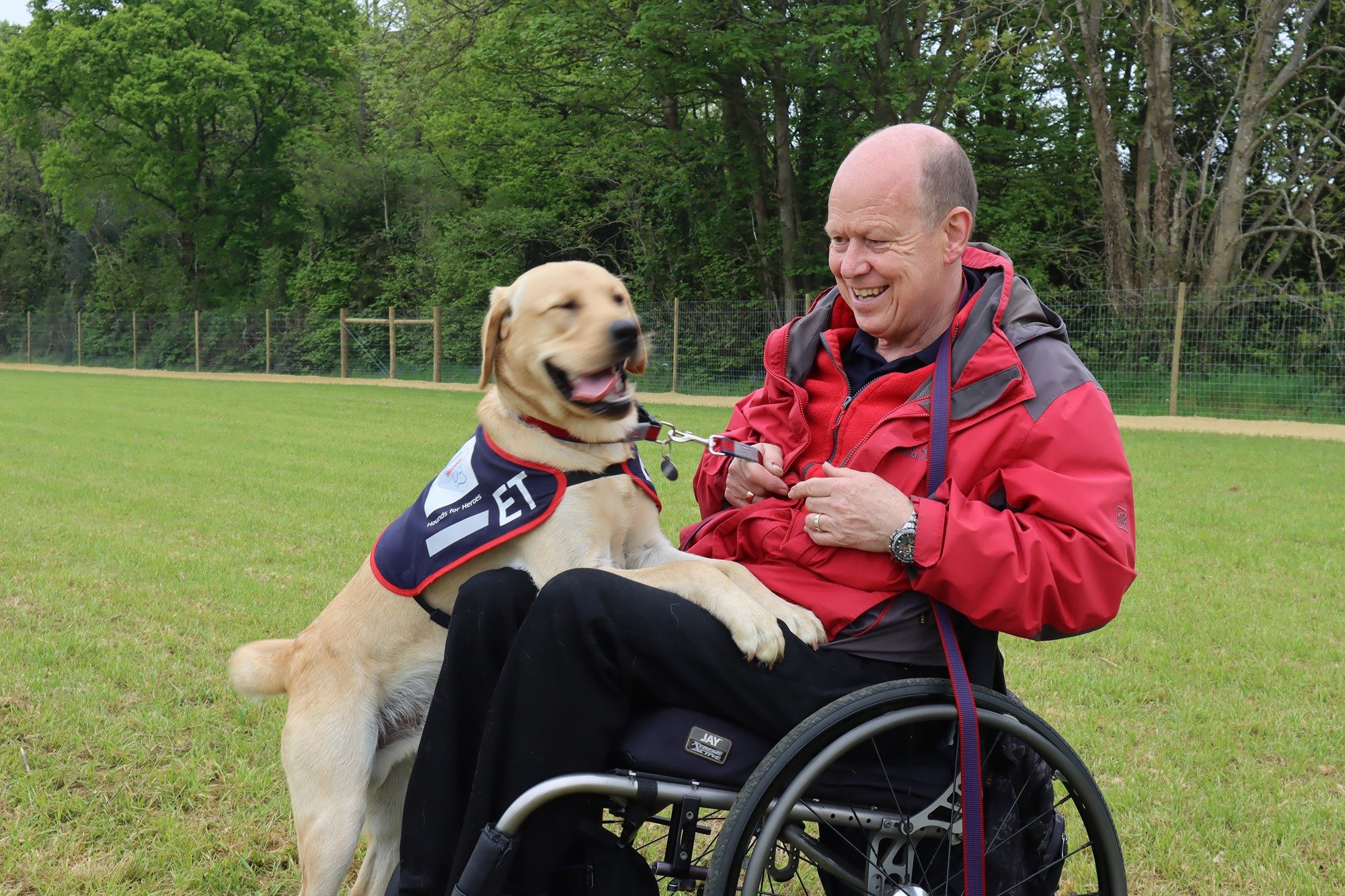 Become a puppy parent for Hounds for Heroes! 