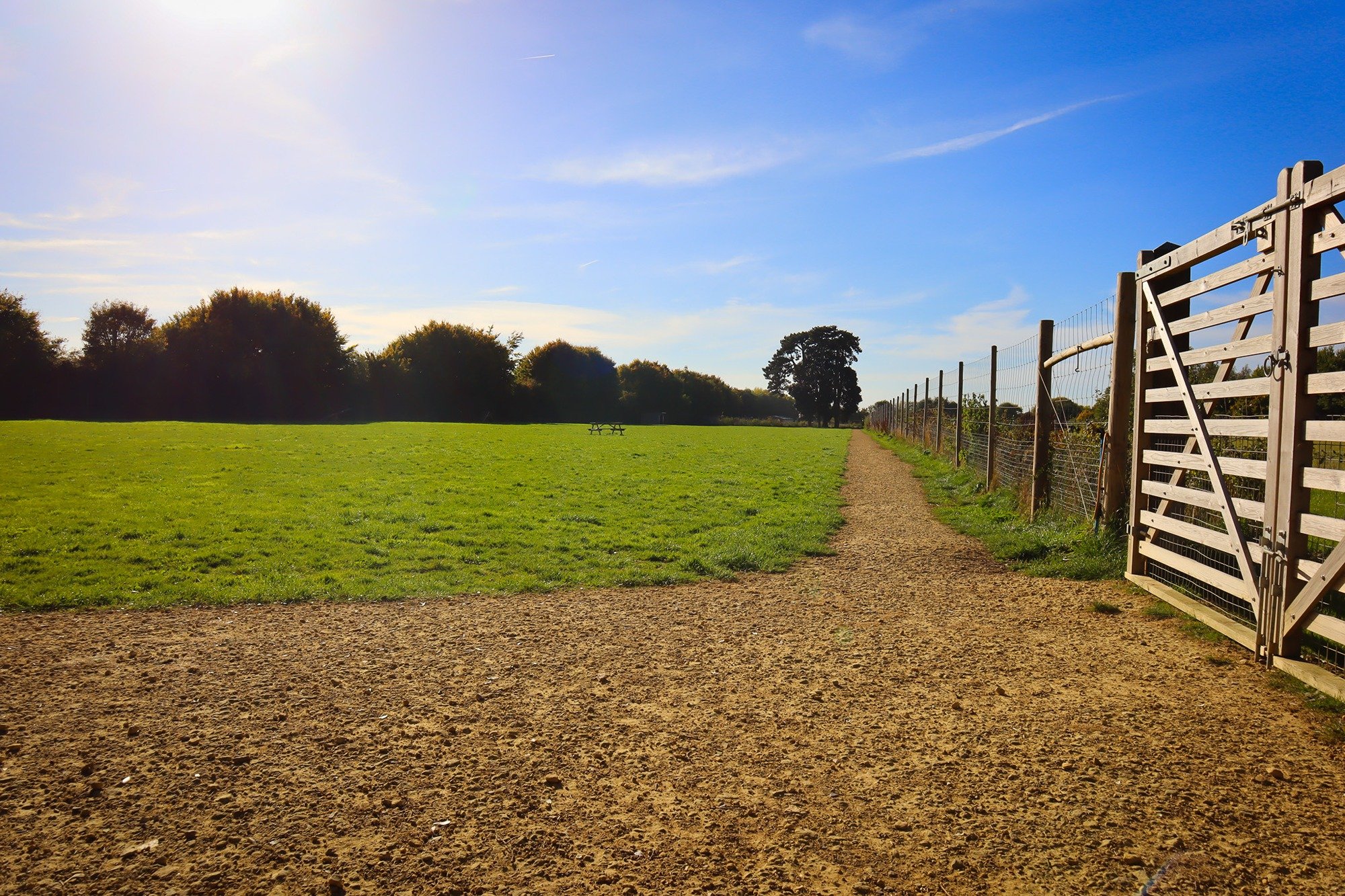 Things to remember during the warmer months at Paw Paddock