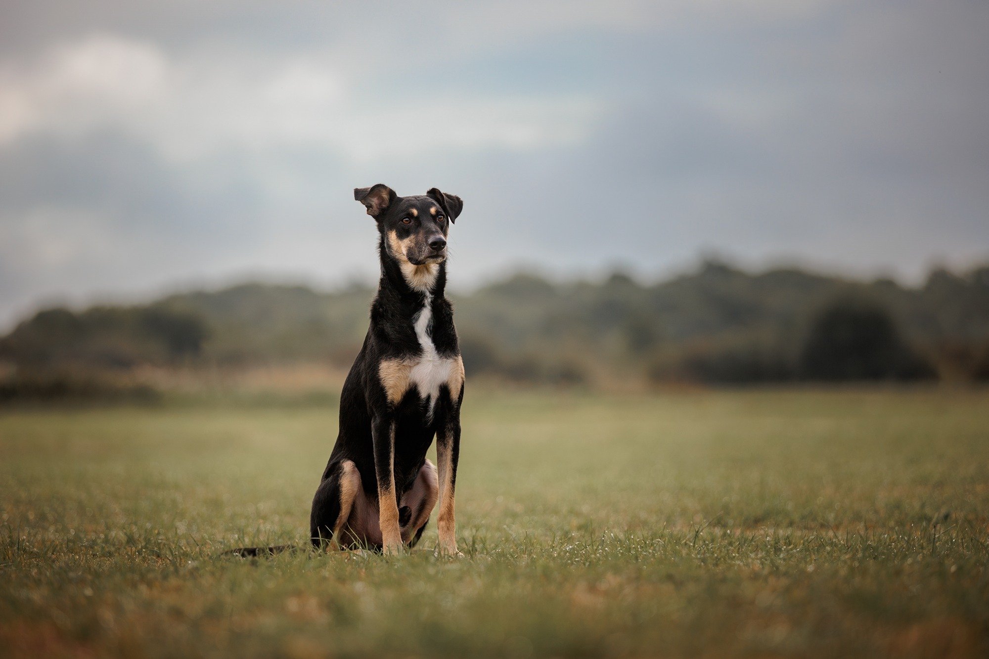 Our Charity Photoshoot at Upham