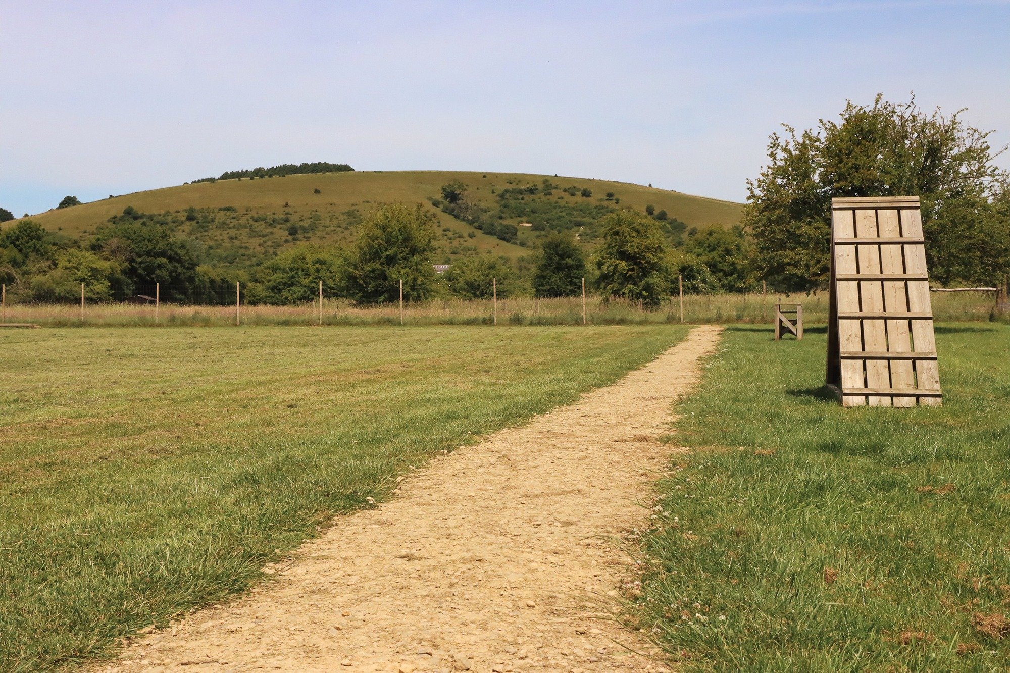 5 things to do with your pooch at Paw Paddock