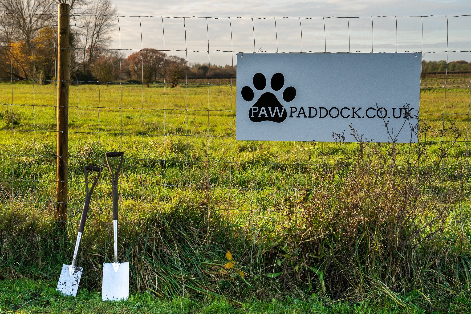What is Paw Paddock? 