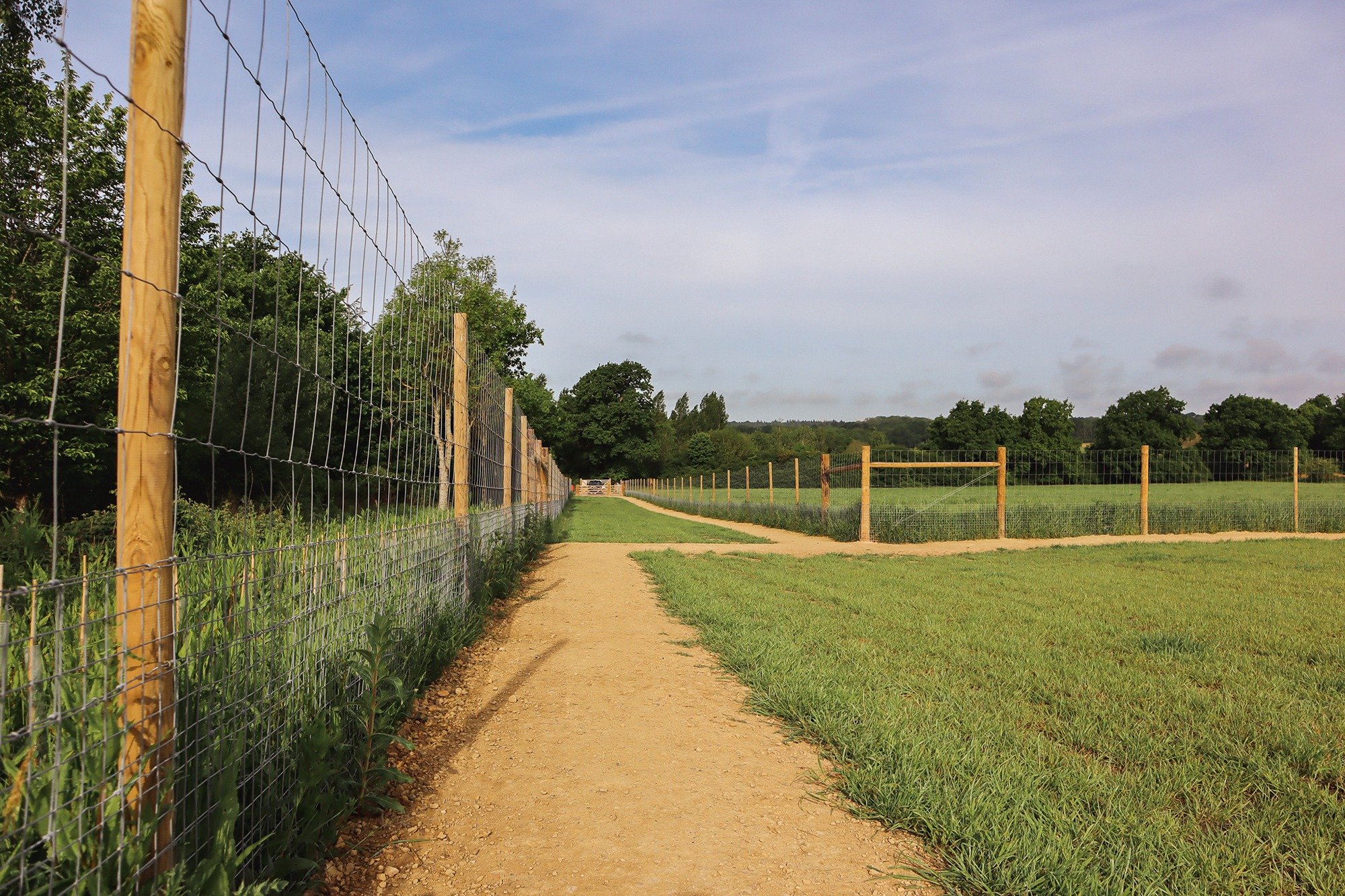 Paw Paddock Presents - Horsham