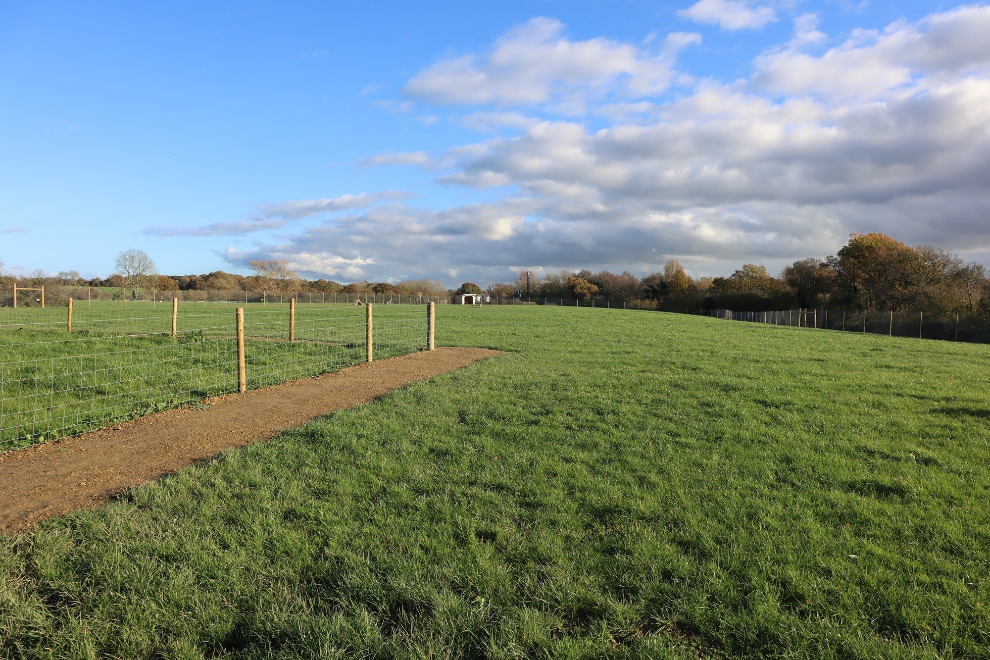NEW PADDOCK REVEAL - Upham is Open!