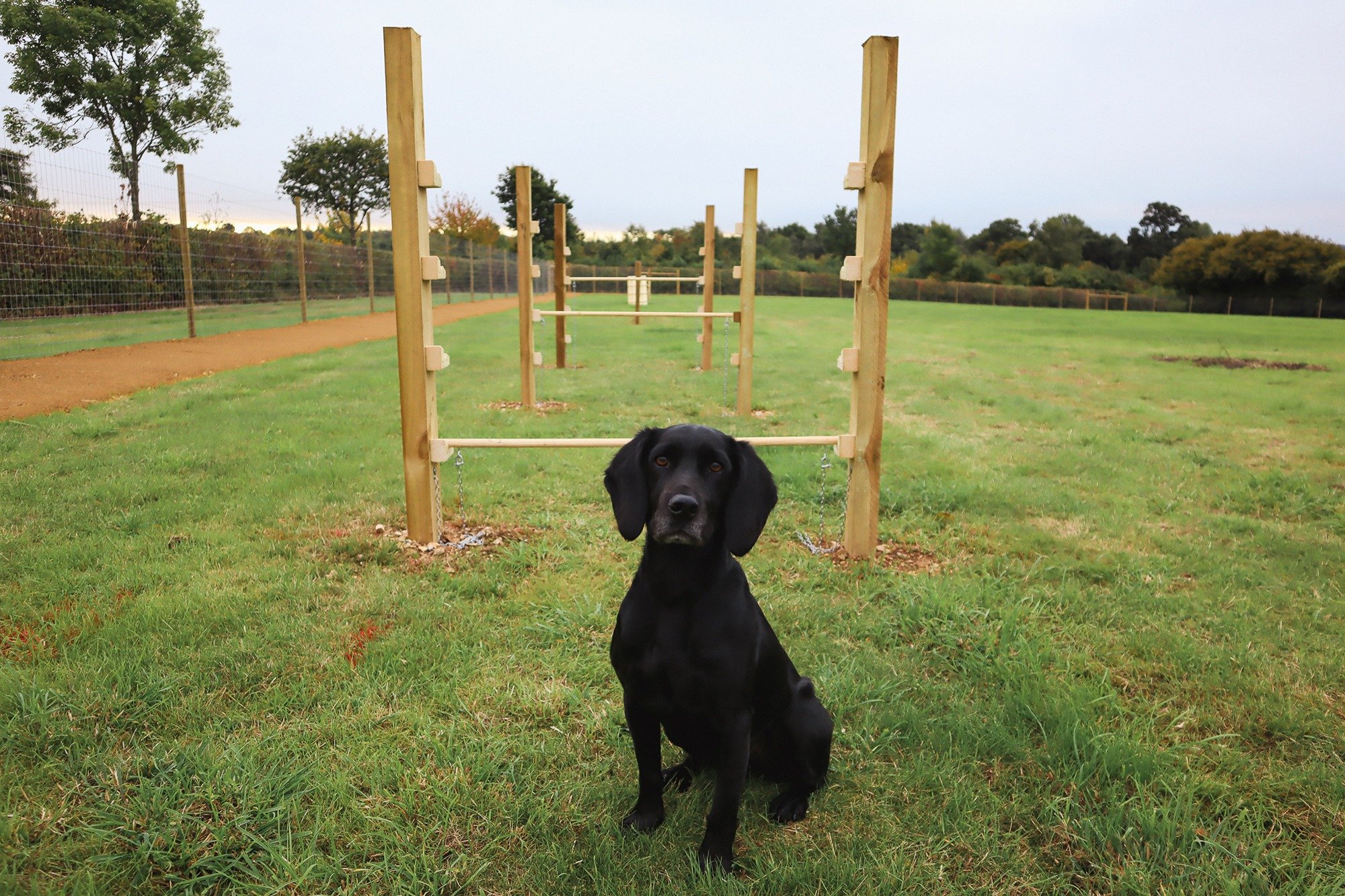 Paw Paddock Presents - Andover! 