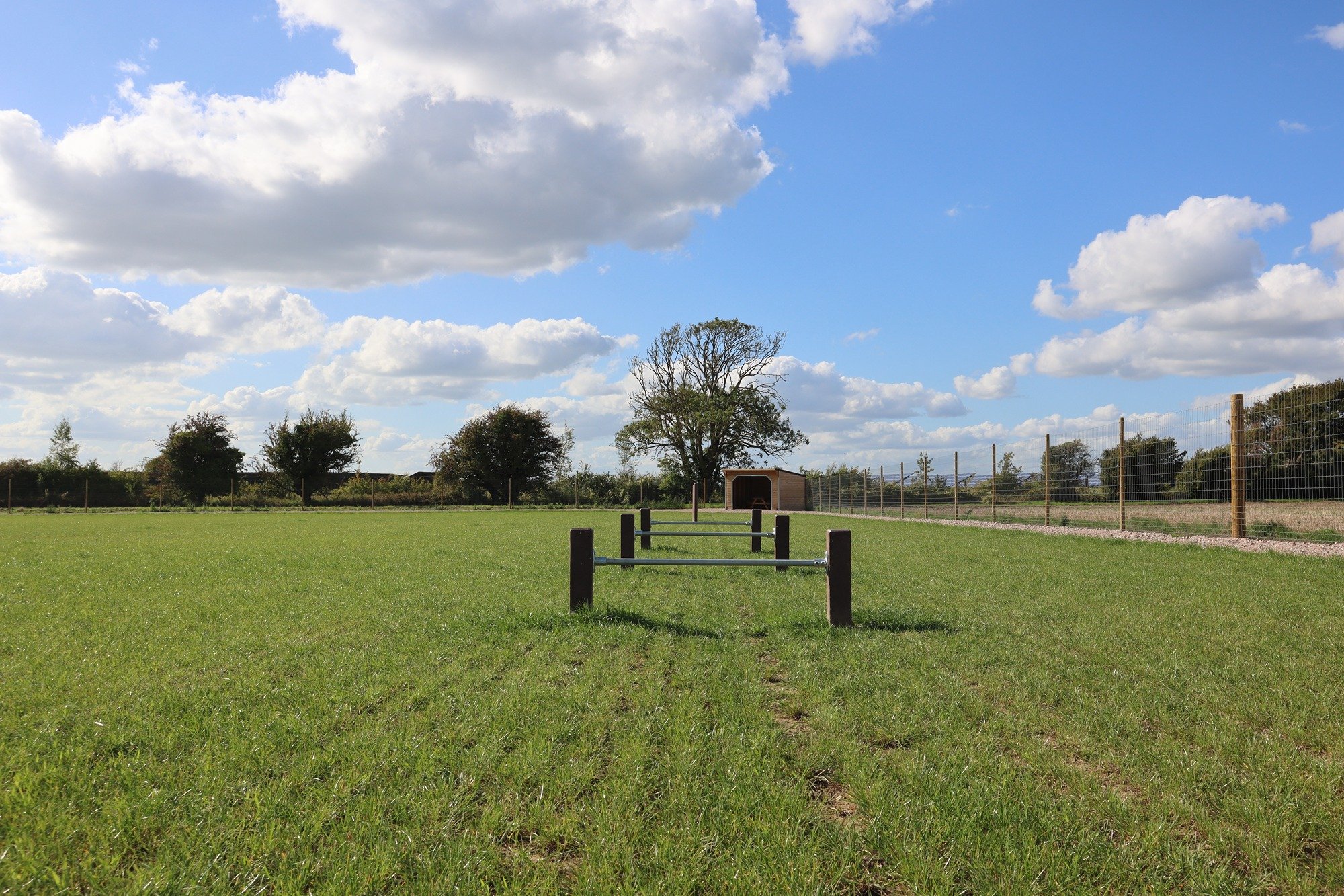 The importance of a secure dog field💙