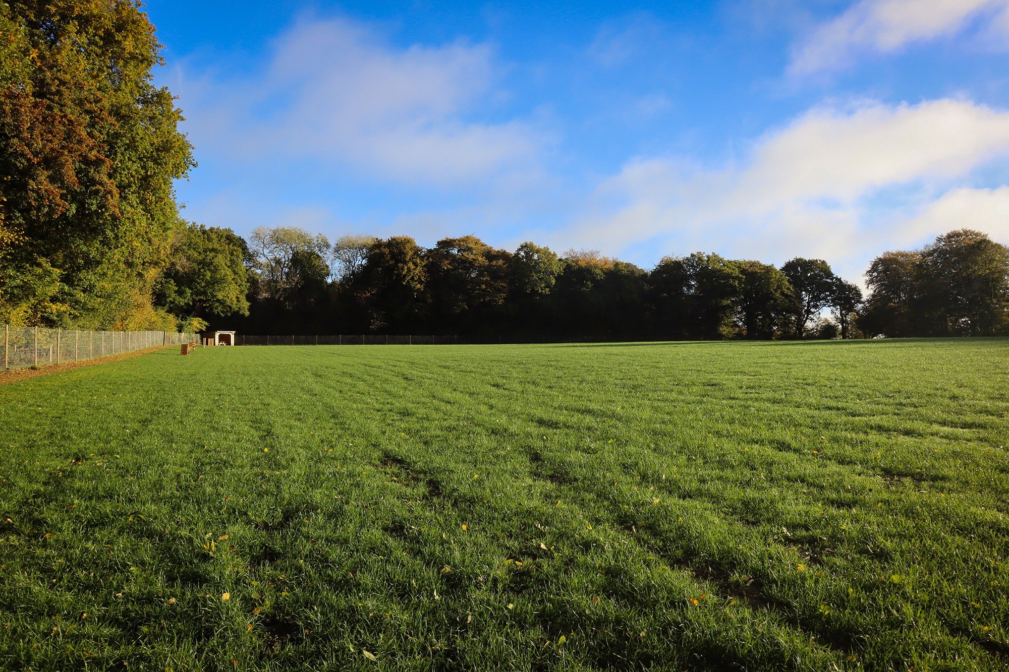 Paw Paddock Presents - Mapledurwell & Moundsmere