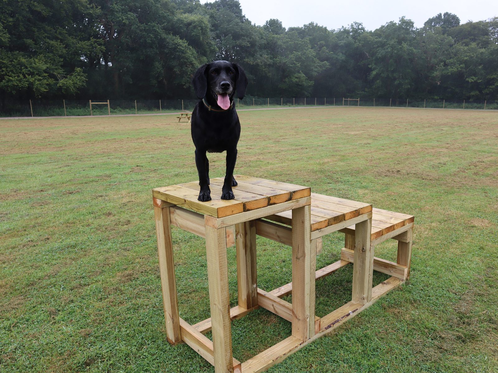 Paw Paddock Balcombe now OPEN!