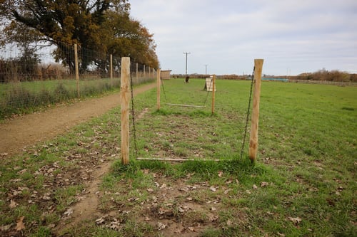 Photo of Paw Paddock Fareham