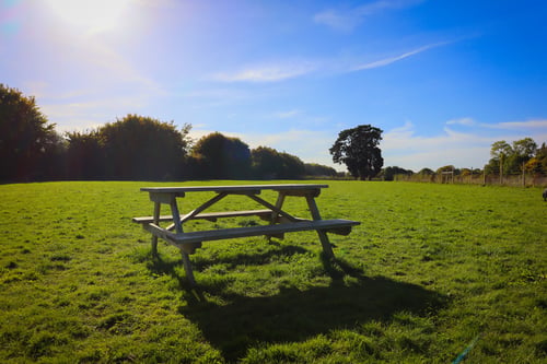 Photo of Paw Paddock Westbourne