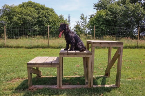 Photo of Paw Paddock East Meon
