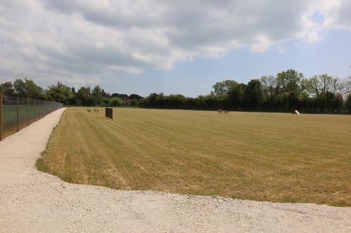 Photo of Paw Paddock Shripney
