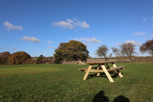 Photo of Paw Paddock North Waltham