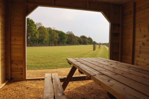 Photo of Paw Paddock Wickham East