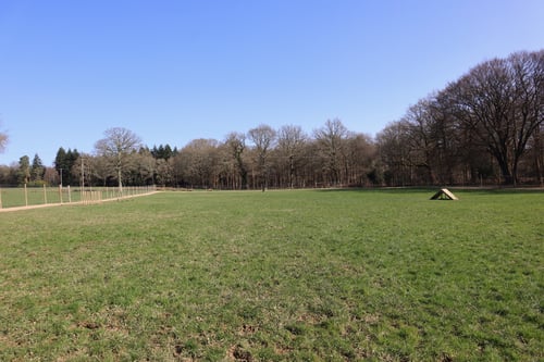 Photo of Paw Paddock Balcombe