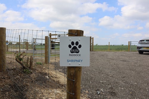 Photo of Paw Paddock Shripney