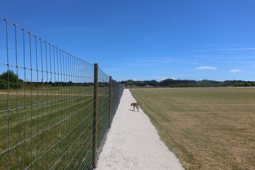 Photo of Paw Paddock Alton