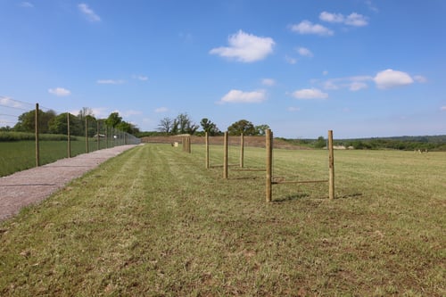 Photo of Paw Paddock Cuckfield