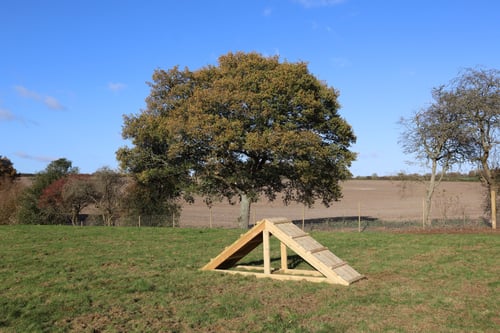 Photo of Paw Paddock North Waltham