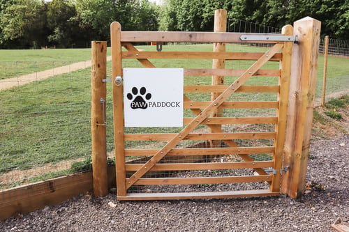 Photo of Paw Paddock Bullington