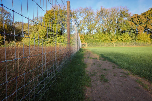 Photo of Paw Paddock Moundsmere