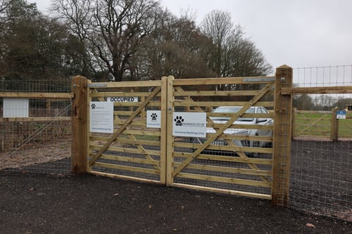 Photo of Paw Paddock Wickham West
