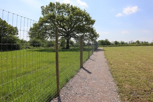 Photo of Paw Paddock Cuckfield