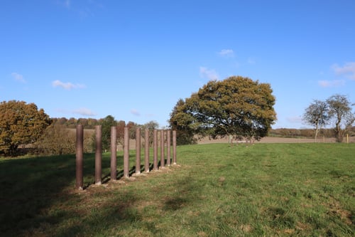 Photo of Paw Paddock North Waltham