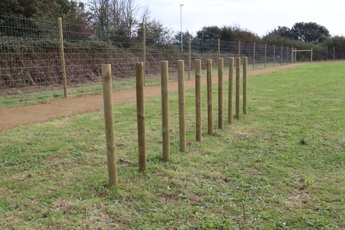 Photo of Paw Paddock Worthing