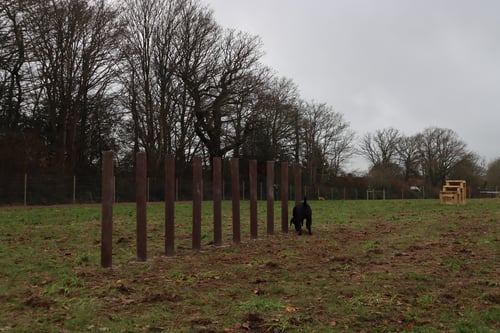 Photo of Paw Paddock Wickham West