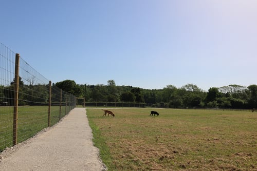 Photo of Paw Paddock Kingscote
