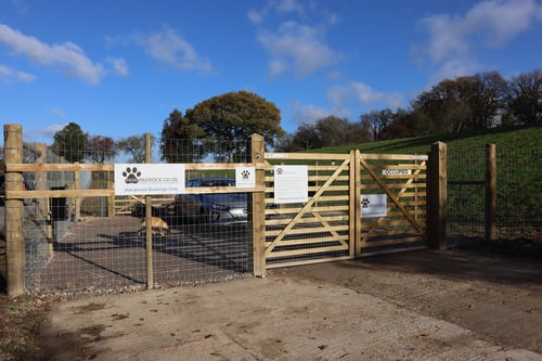 Photo of Paw Paddock North Waltham
