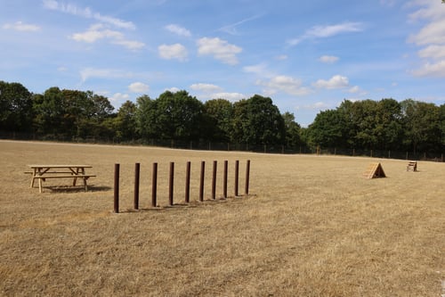 Photo of Paw Paddock Cliddesden