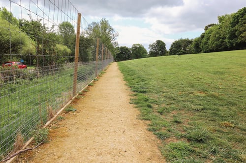 Photo of Paw Paddock Bullington