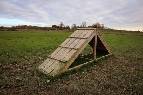 Photo of Paw Paddock Fareham