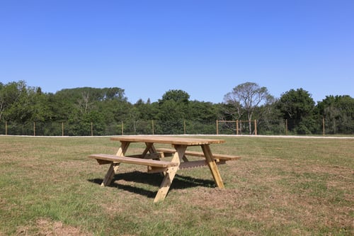 Photo of Paw Paddock Kingscote