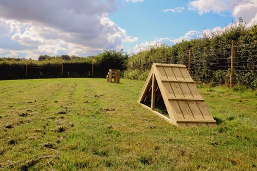 Photo of Paw Paddock Mapledurwell