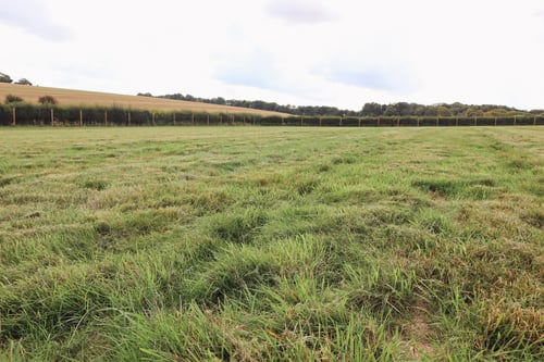 Photo of Paw Paddock Mapledurwell