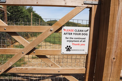 Photo of Paw Paddock East Meon