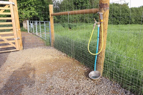 Photo of Paw Paddock Horsham