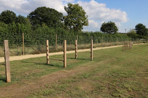 Photo of Paw Paddock Andover