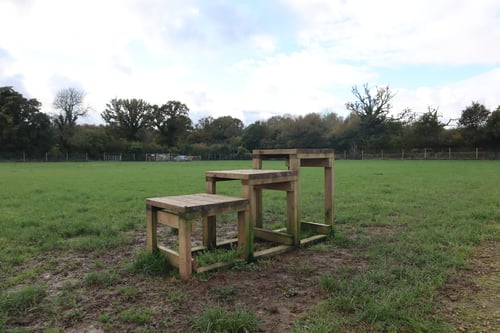 Photo of Paw Paddock Upham