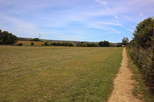 Photo of Paw Paddock East Meon