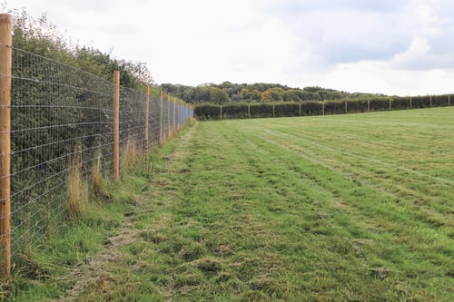 Photo of Paw Paddock Mapledurwell