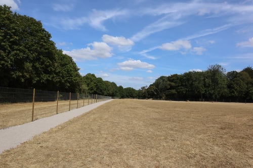 Photo of Paw Paddock Cliddesden