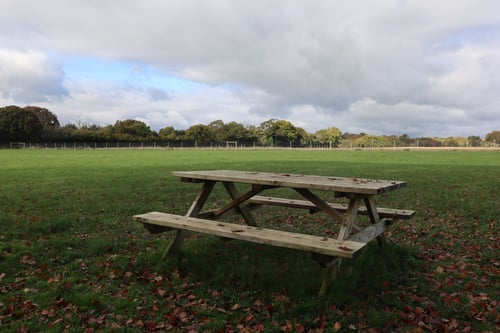 Photo of Paw Paddock Upham