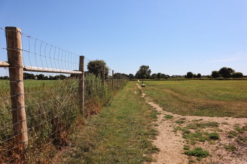 Photo of Paw Paddock Donnington