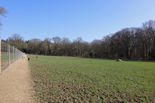 Photo of Paw Paddock Balcombe
