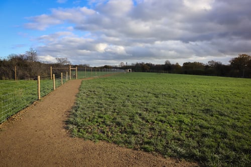 Photo of Paw Paddock Ashington